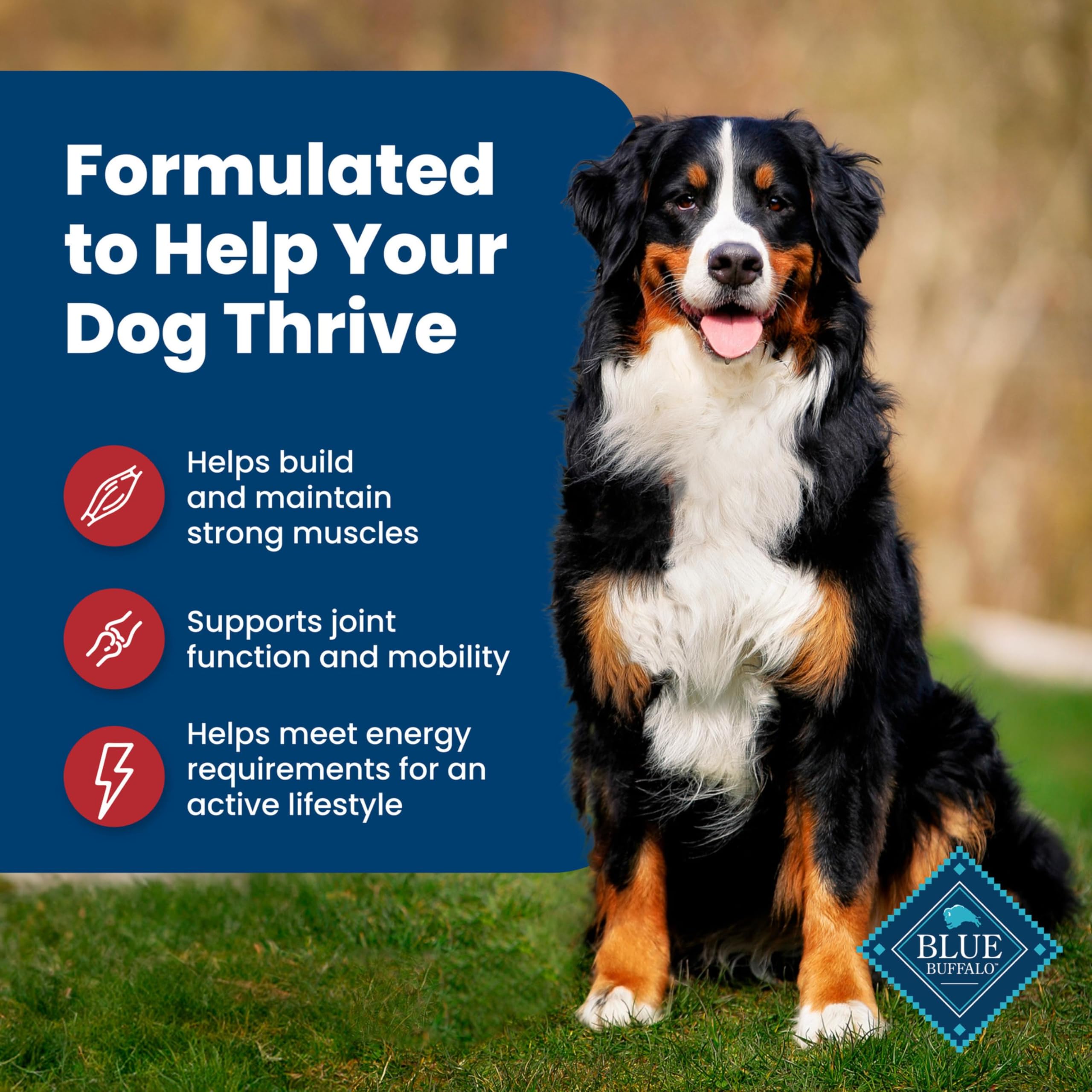 Blue Buffalo Life Protection Formula Adult Dry Dog Food, Helps Build and Maintain Strong Muscles, Made with Natural Ingredients, Beef & Brown Rice Recipe, 30-lb Bag