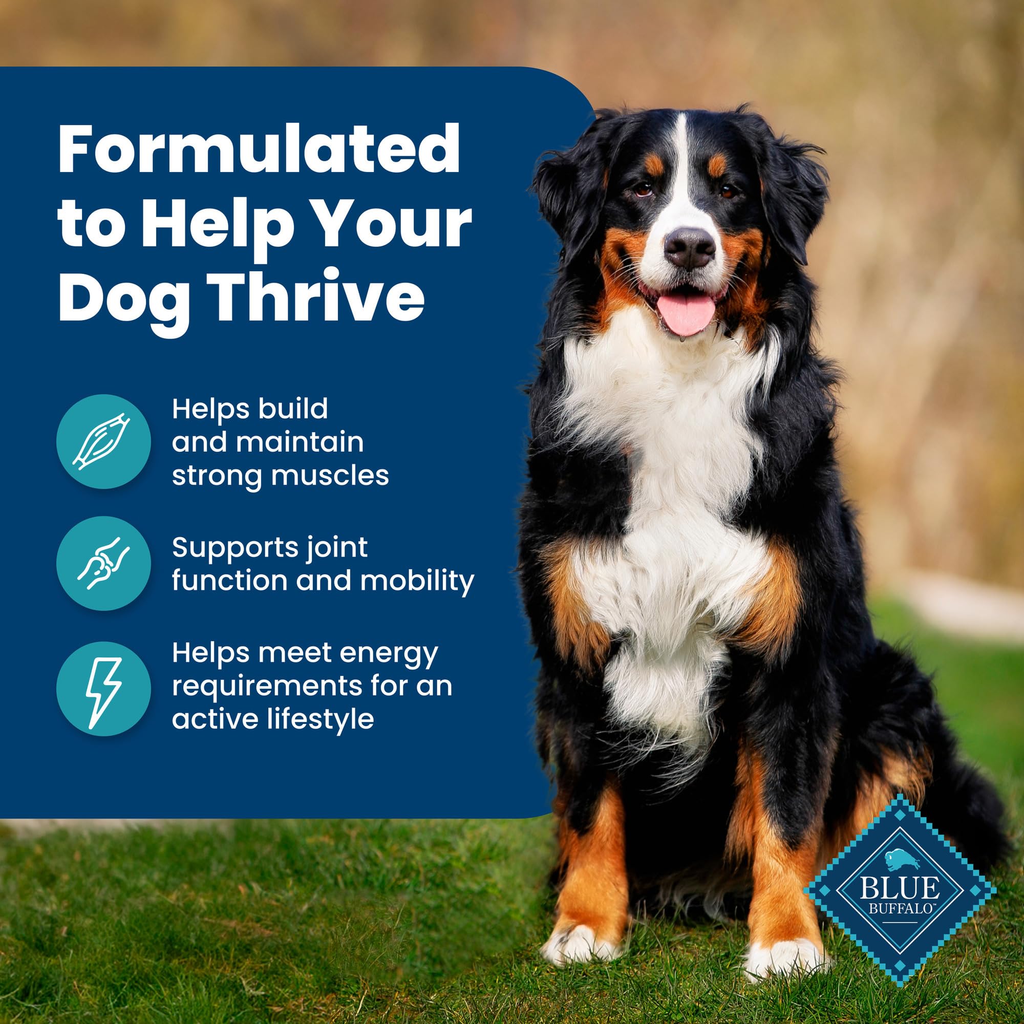 Blue Buffalo Life Protection Formula Adult Dry Dog Food, Helps Build and Maintain Strong Muscles, Made with Natural Ingredients, Beef & Brown Rice Recipe, 30-lb Bag