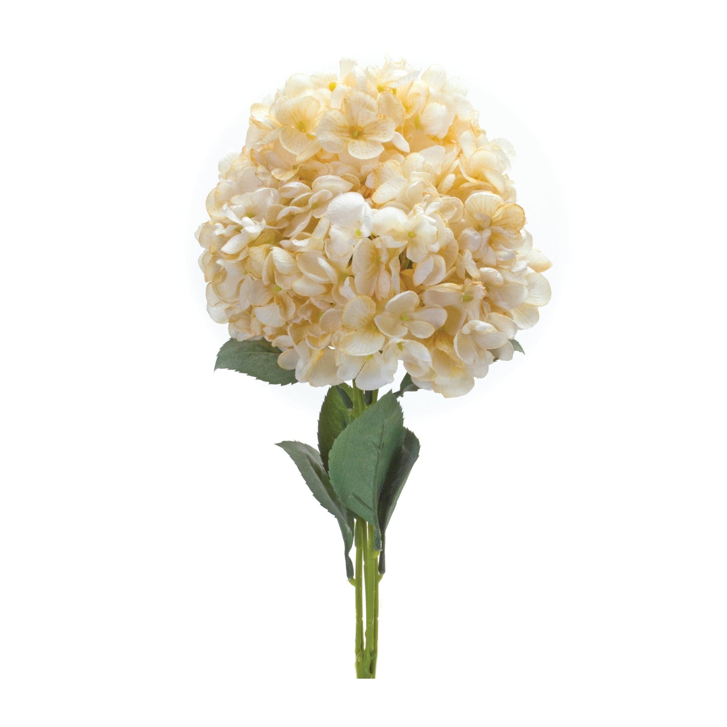 Set of 2 Charming Hydrangea Blooms