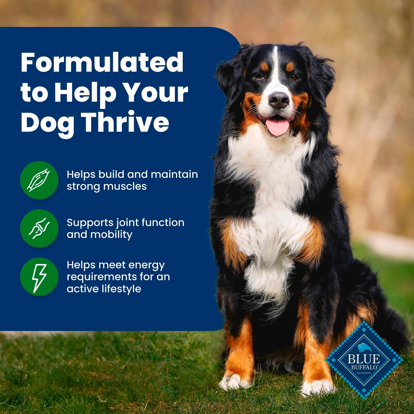 Blue Buffalo Life Protection Formula Adult Dry Dog Food, Helps Build and Maintain Strong Muscles, Made with Natural Ingredients, Beef & Brown Rice Recipe, 30-lb Bag