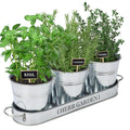 PERFNIQUE Indoor Herb Garden, Herb Planter for Indoor/Outdoor, Farmhouse Plant Pots, Windowsill Herb Garden with Tray(Planter only) Window Pots
