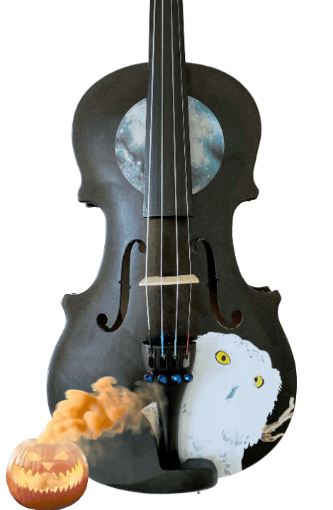 Mystic Owl Midnight Black Violin Outfit