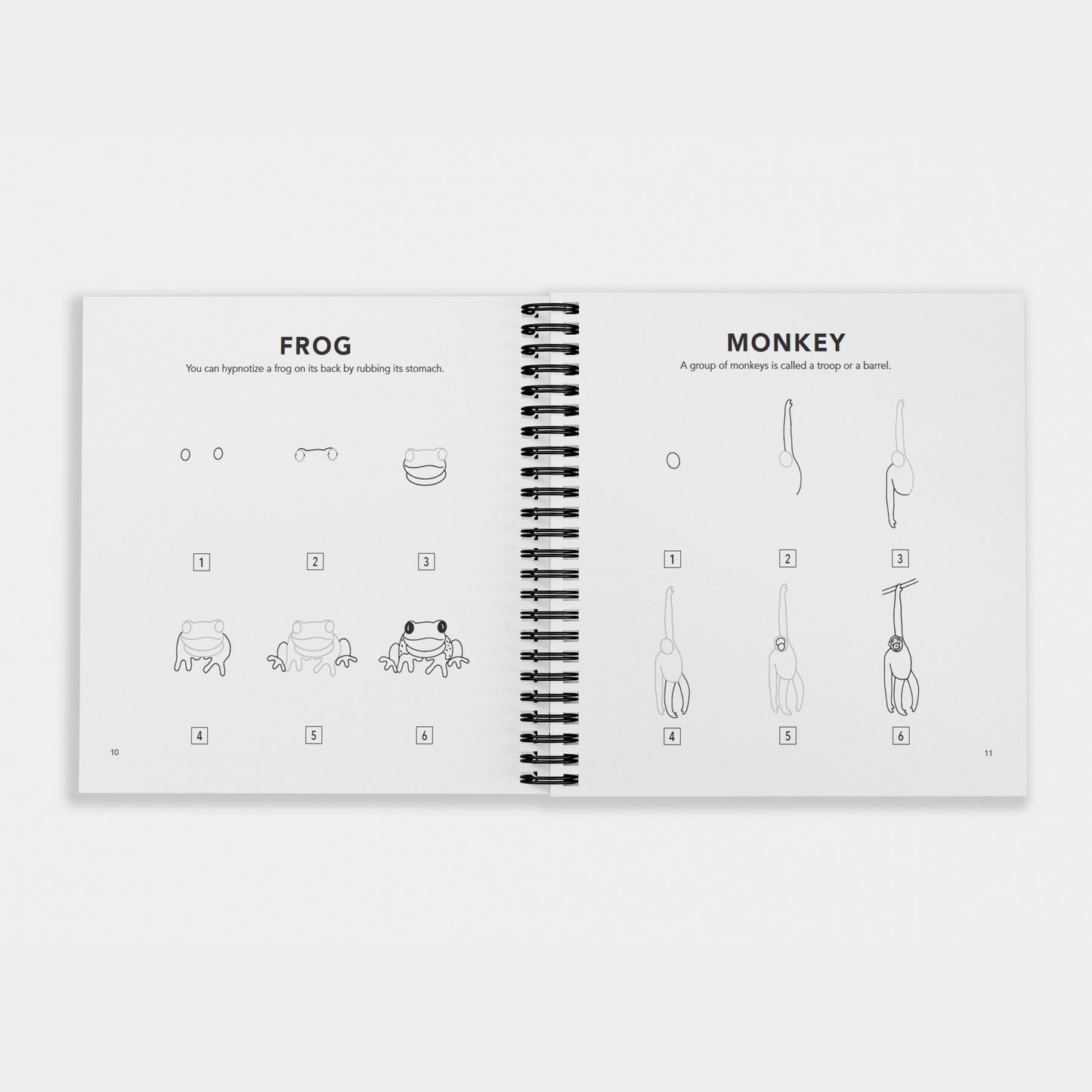 How to Draw All the Animals (Spiral)