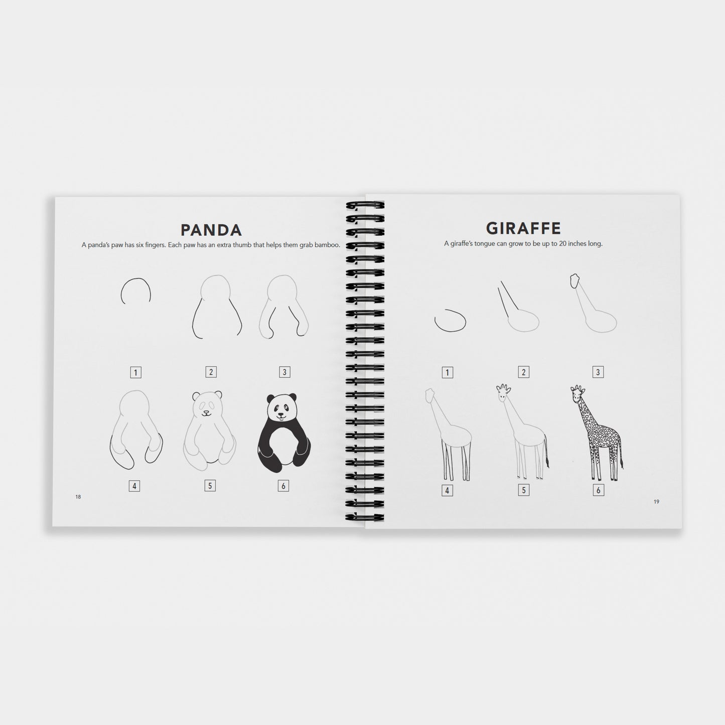 How to Draw All the Animals (Spiral)