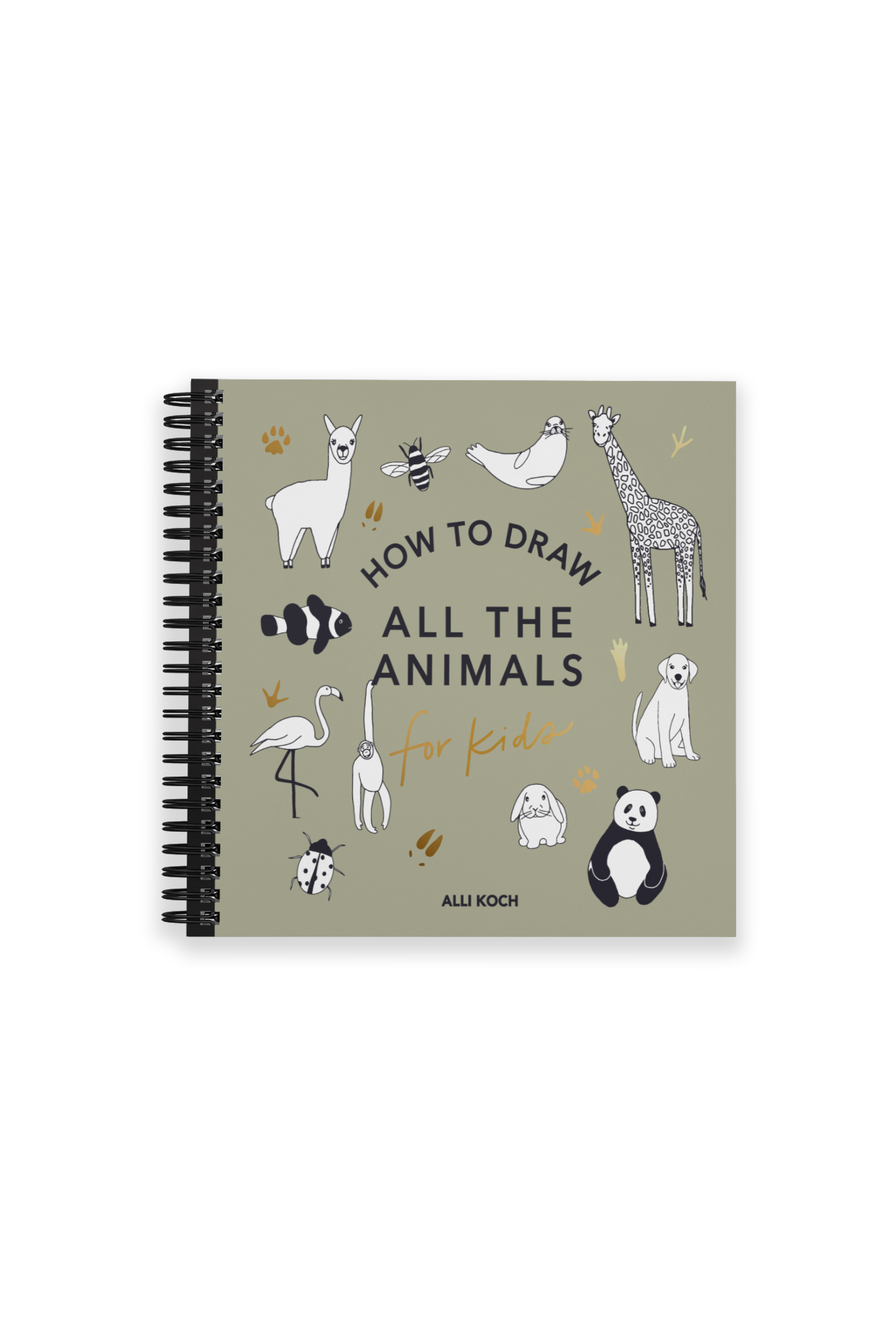 How to Draw All the Animals (Spiral)