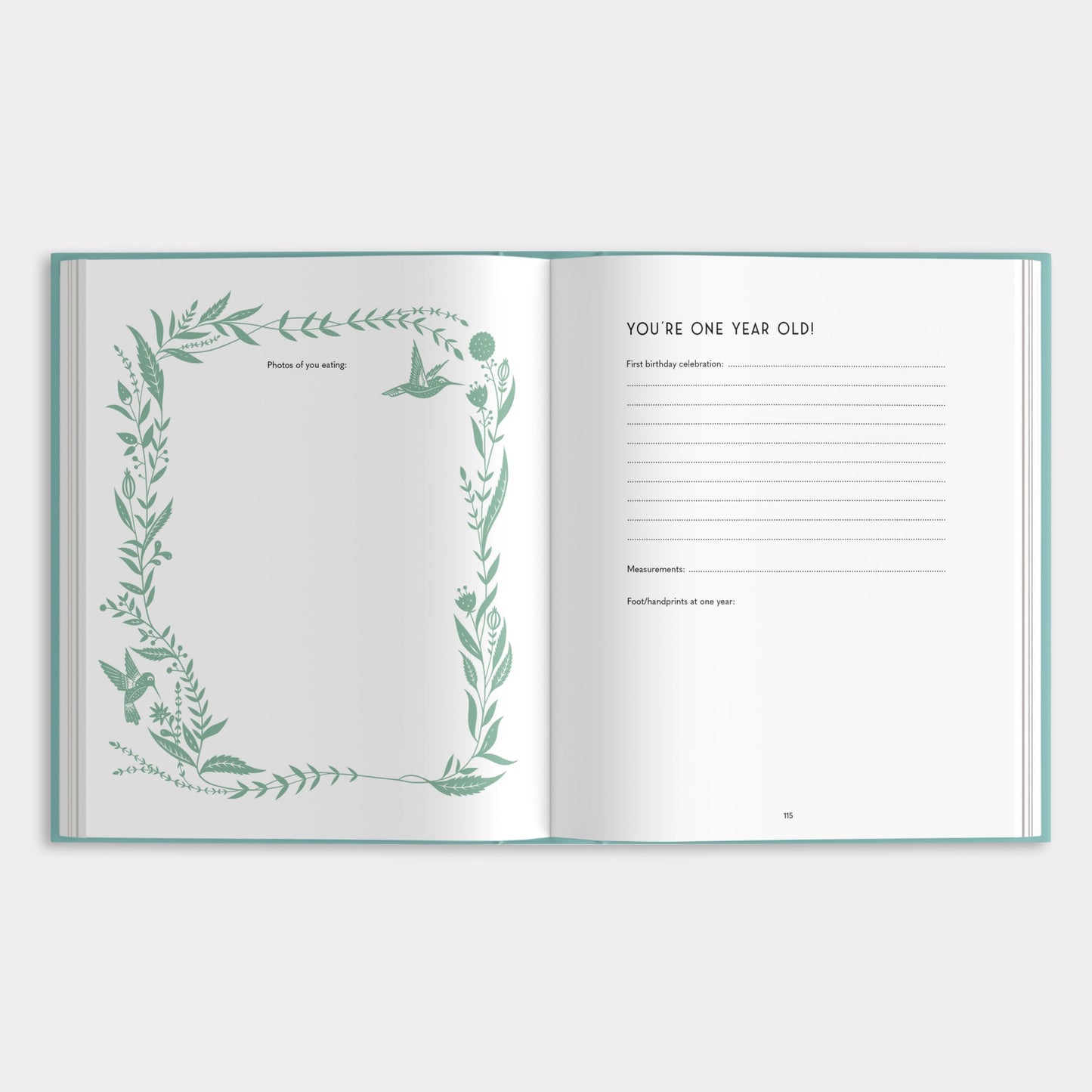My Baby's Book
