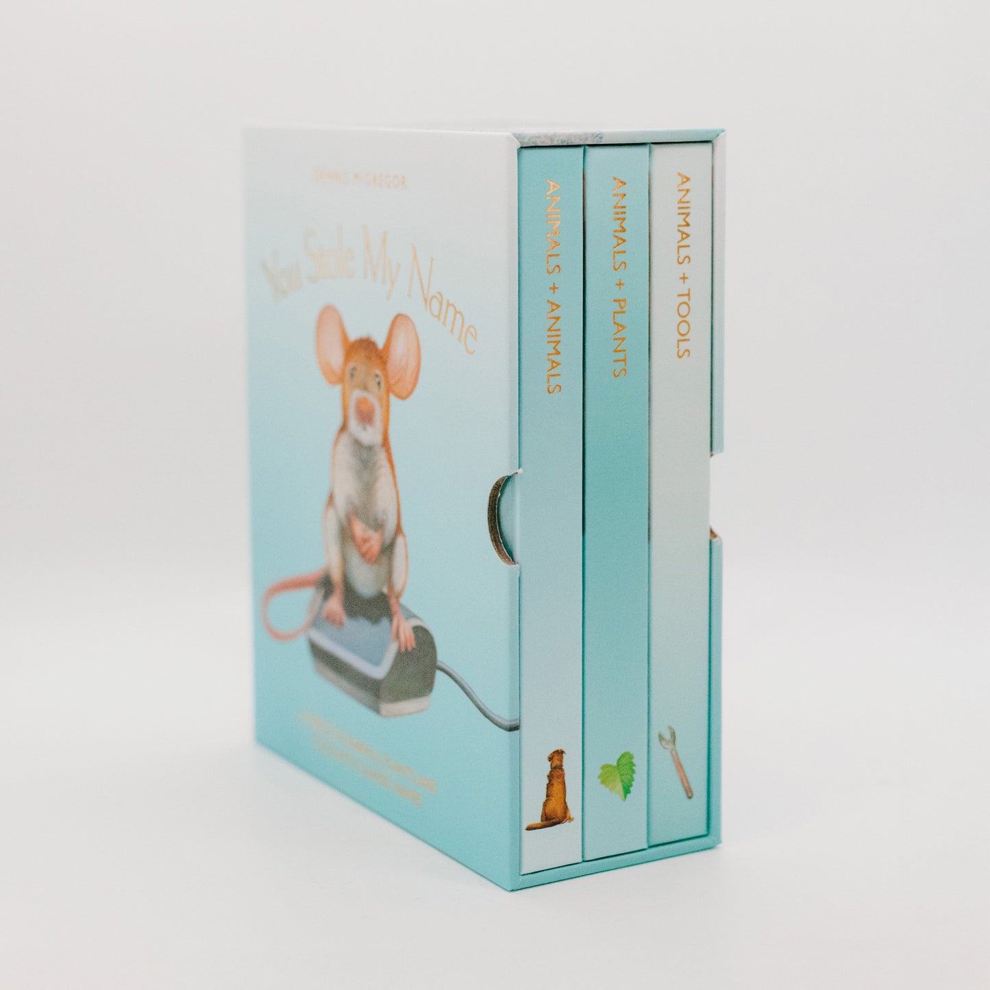 You Stole My Name Board Book Box Set