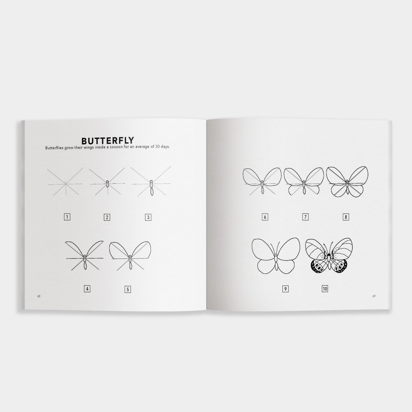 How to Draw Spring Things for Kids