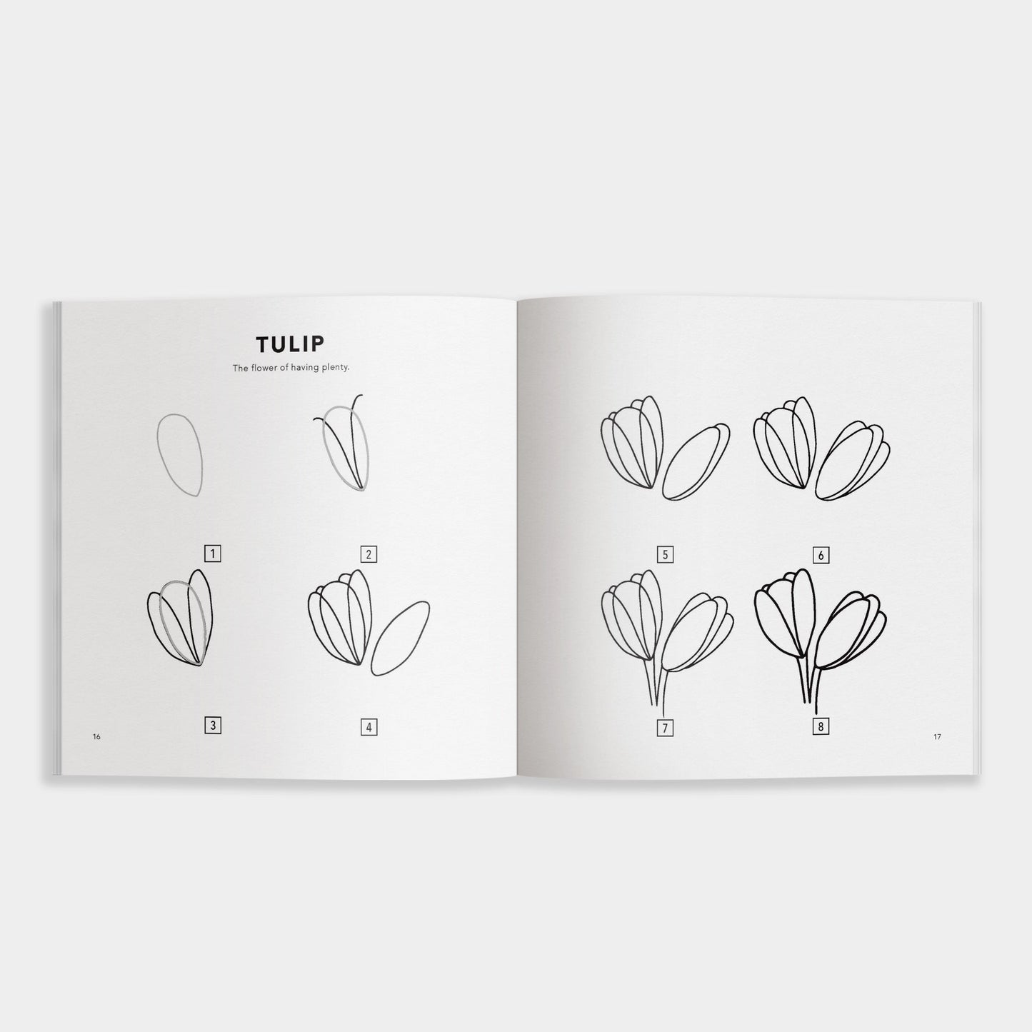 How to Draw Spring Things for Kids