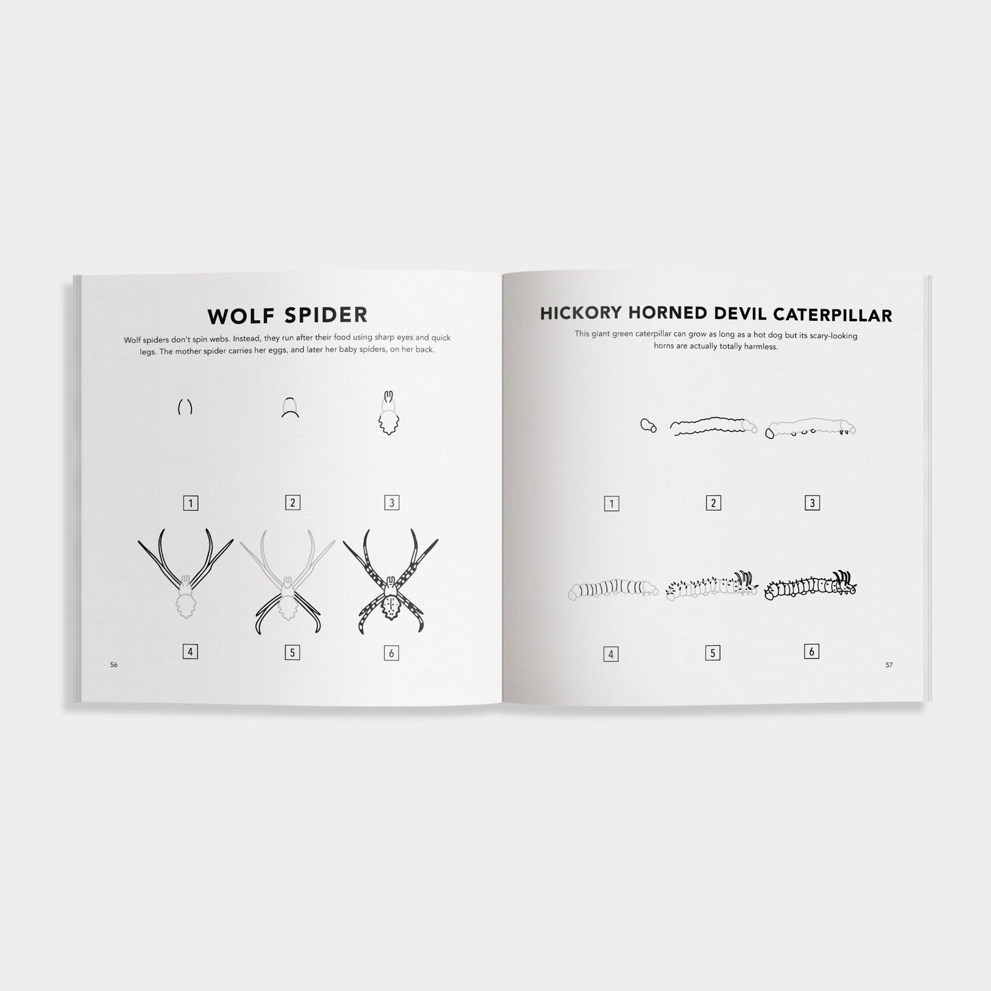 Bugs: How to Draw Books for Kids