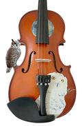 Rozanna's Violins Mystic Owl Violin Outfit