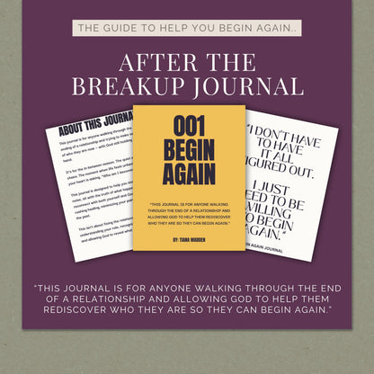 BEGIN AGAIN - Guided Prompts for Healing (DIGITAL DOWNLOAD)