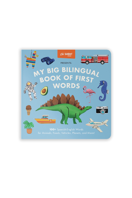 My Big Bilingual Book of First Words
