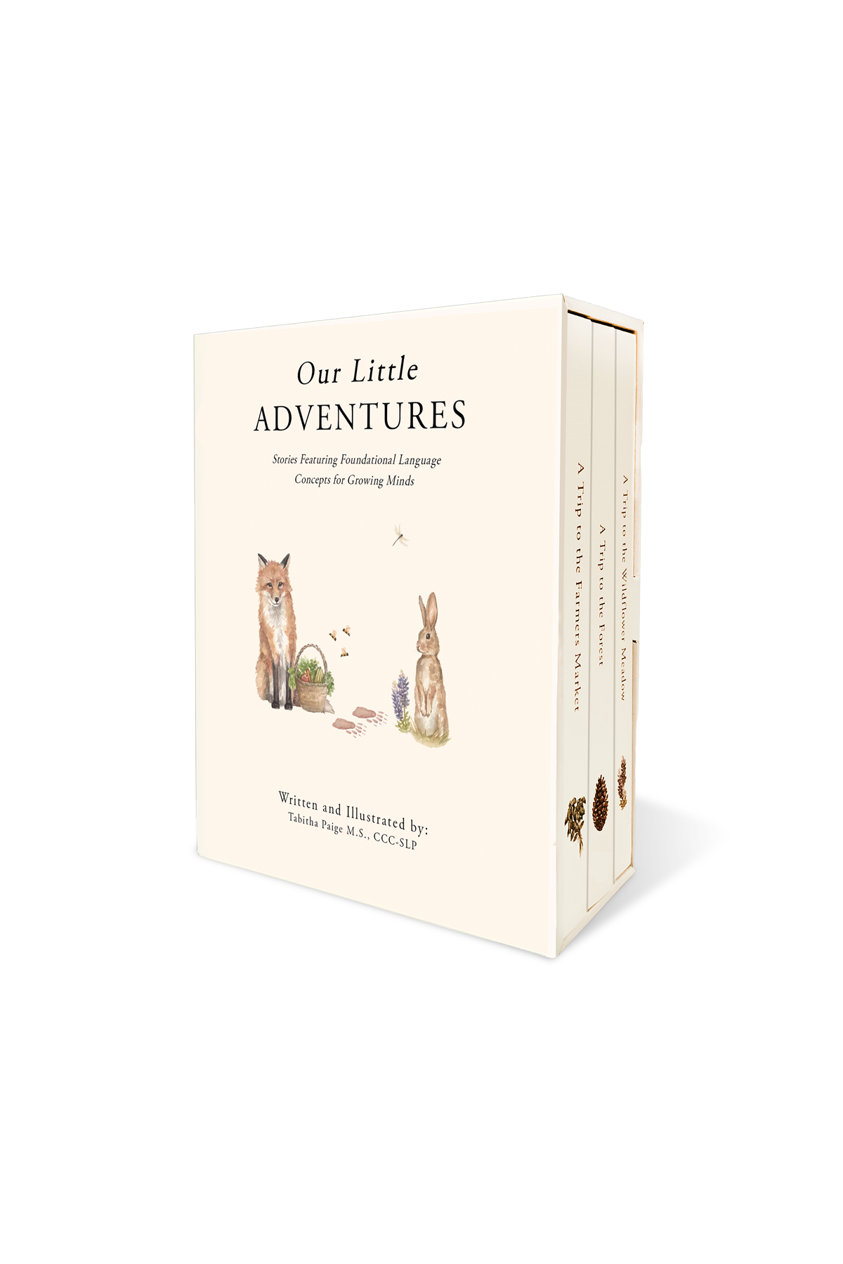 Our Little Adventures