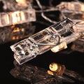 20 LED Large Photo Clip Clear Cable Lights - Plug in