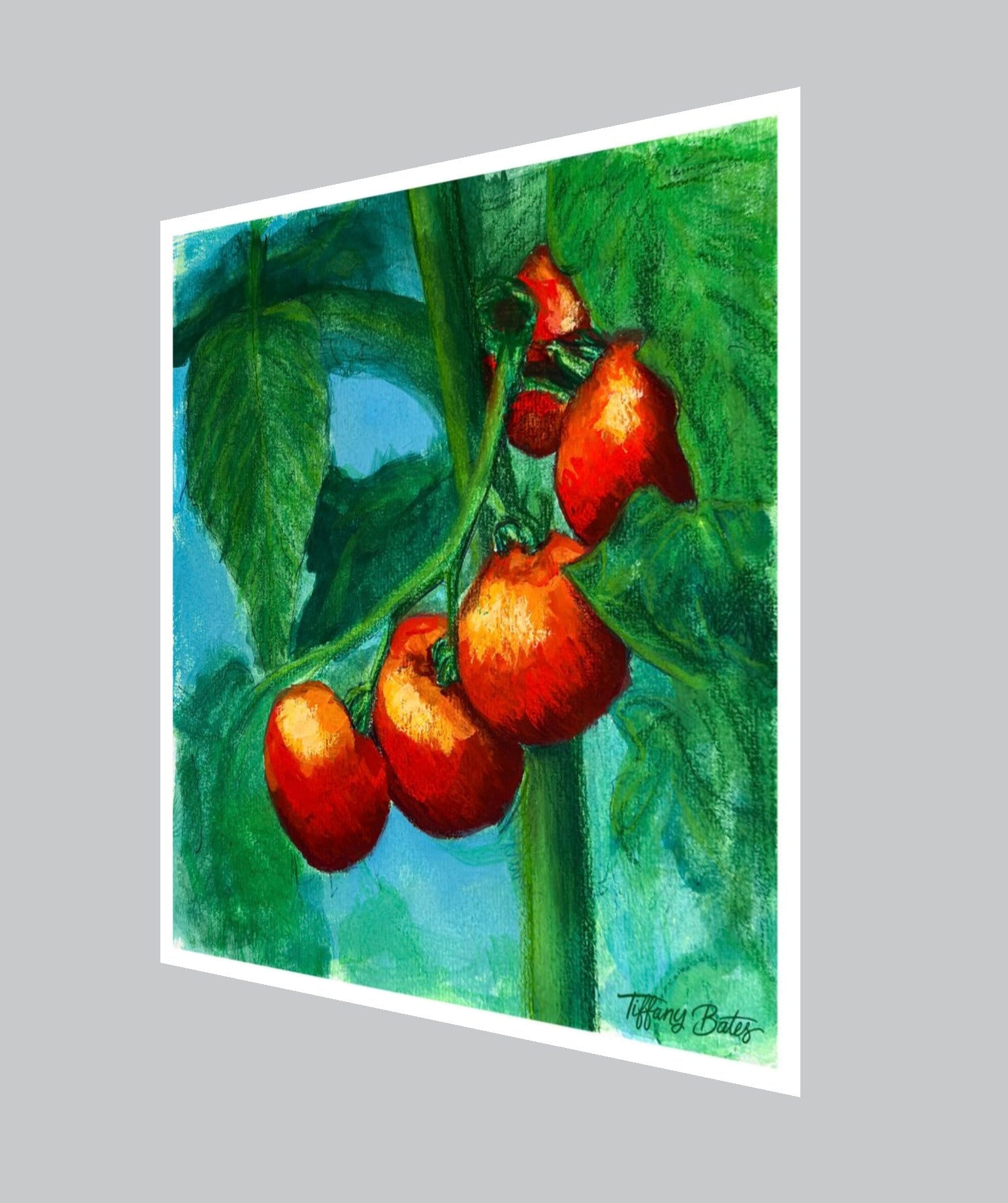 Sun-Kissed Tomatoes - Fine Art Print - 8” x 8”