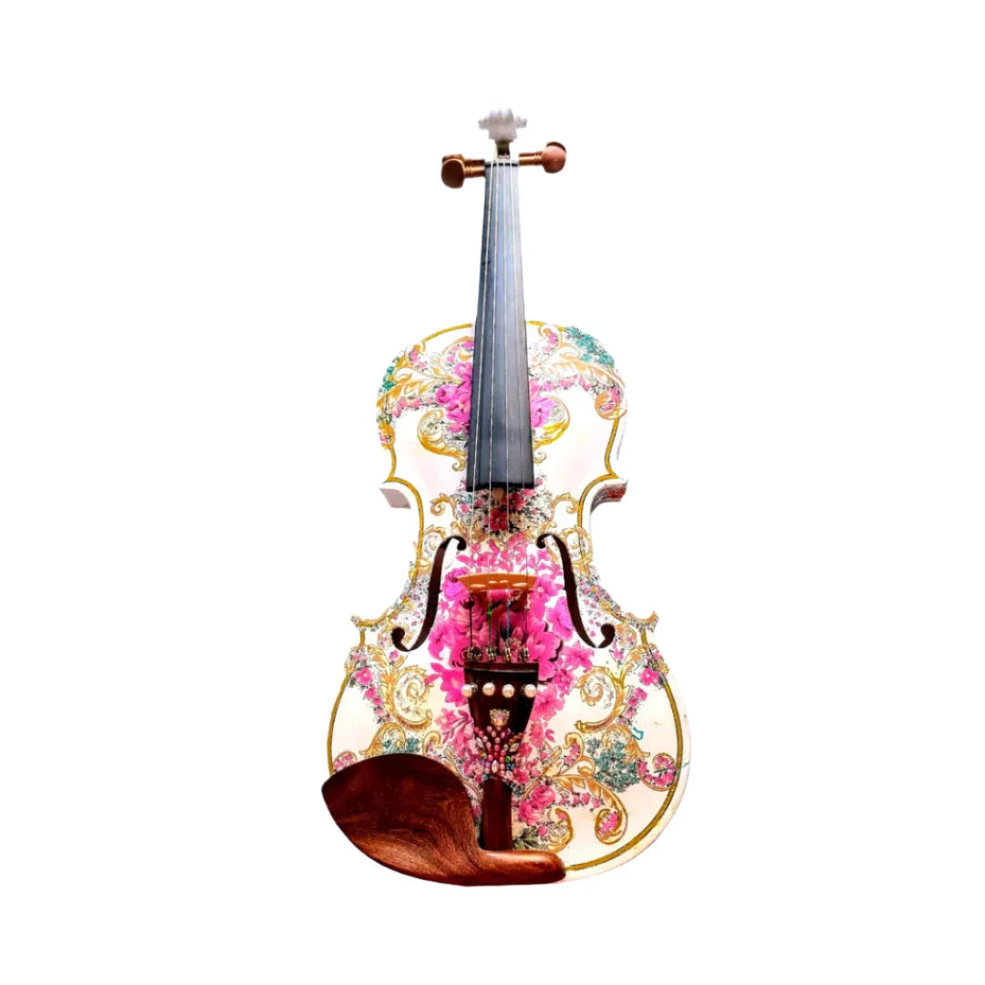 Gilded Age Violin Outfit