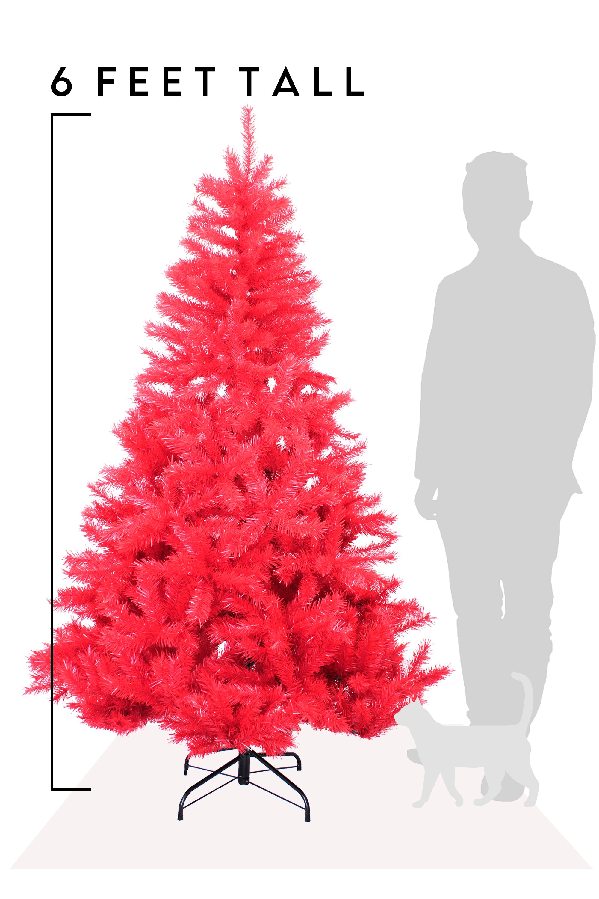 6' Red Norway Pine Tree