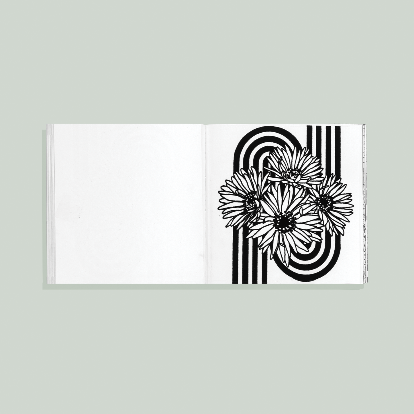 Heyday (Mini) : A Retro Flower Design Coloring Book