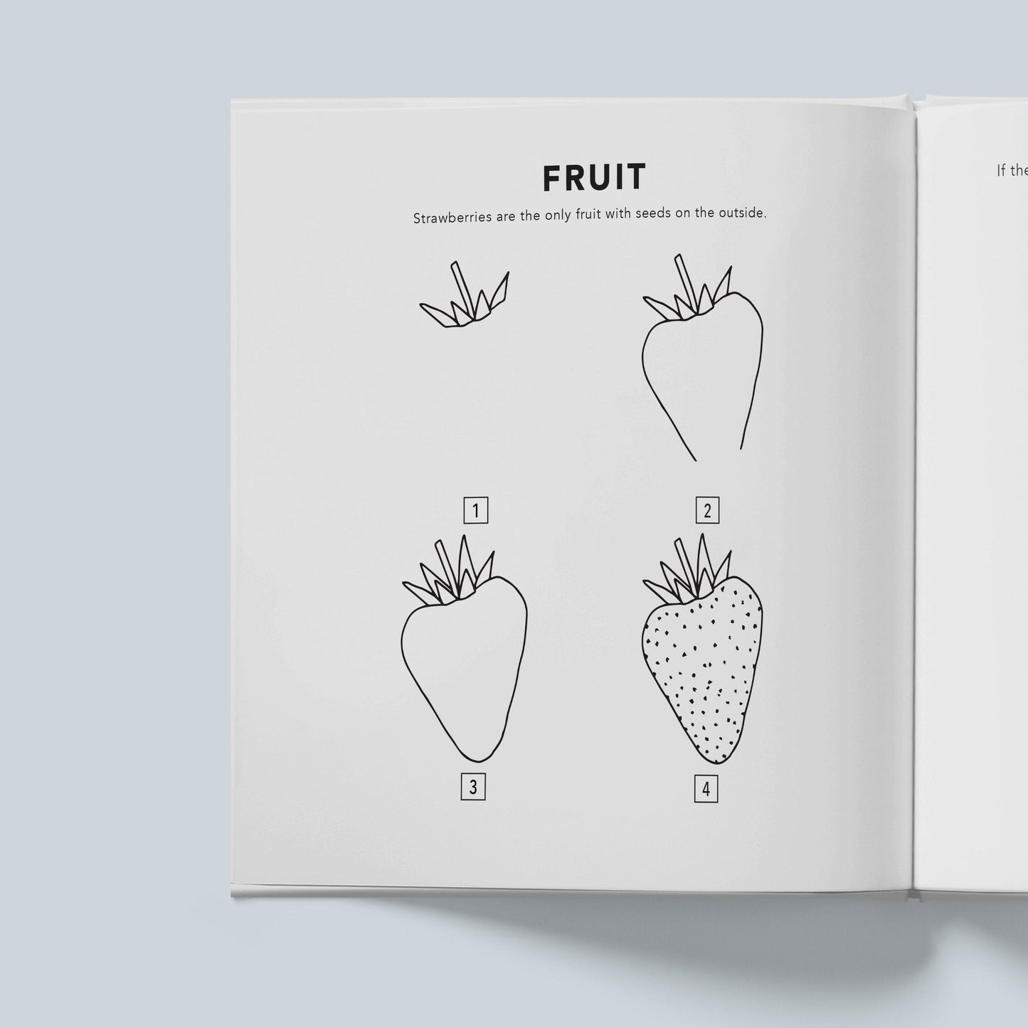 How To Draw All The Things For Kids