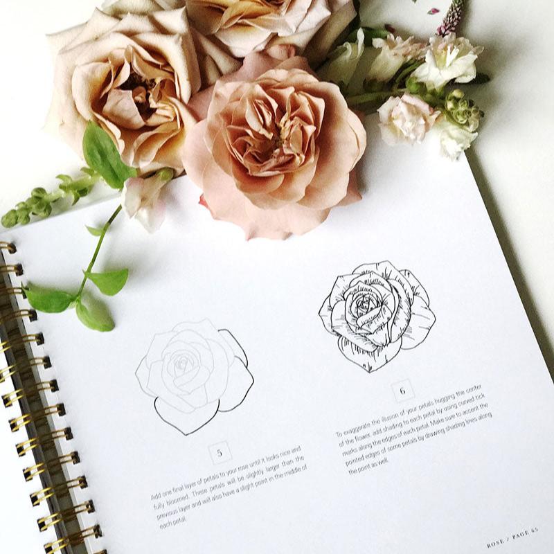 How To Draw Modern Florals (Paperback)