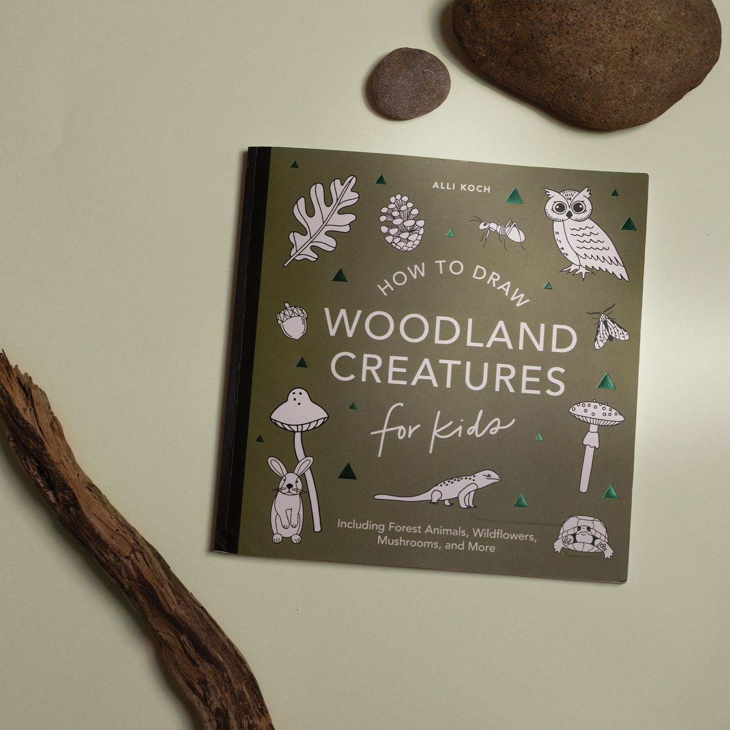 How to Draw for Kids: Mushrooms & Woodland Creatures for Kids