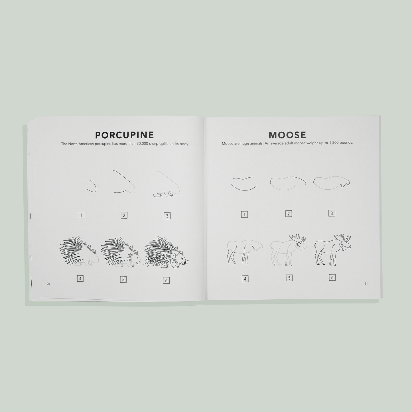 How to Draw for Kids: Mushrooms & Woodland Creatures for Kids