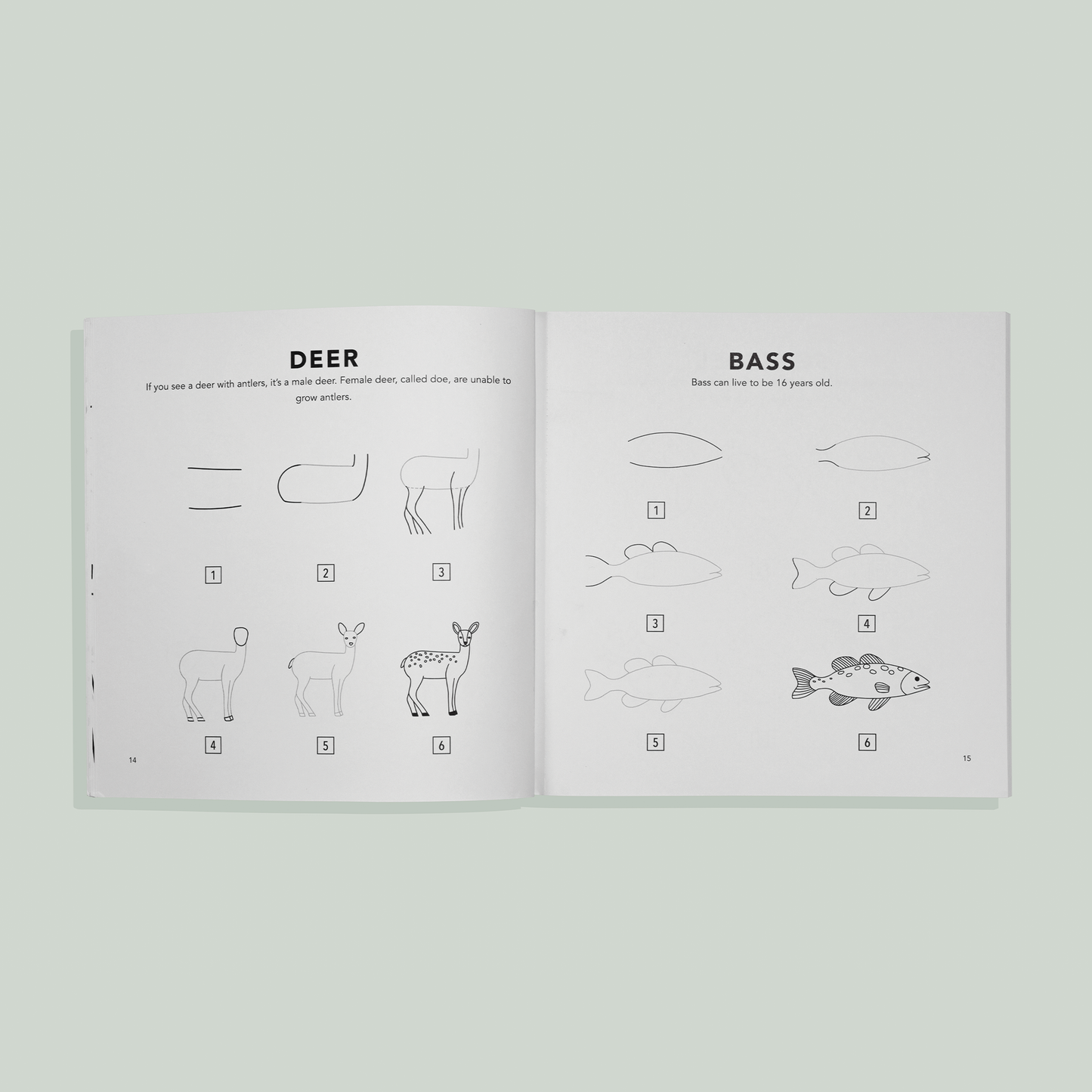 How to Draw for Kids: Mushrooms & Woodland Creatures for Kids