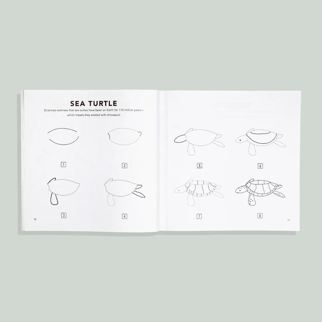 How to Draw Under the Sea for Kids