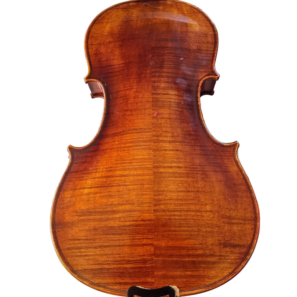 Rozanna's Lumina Artist Violin Outfit (Color Coded Tailpiece)