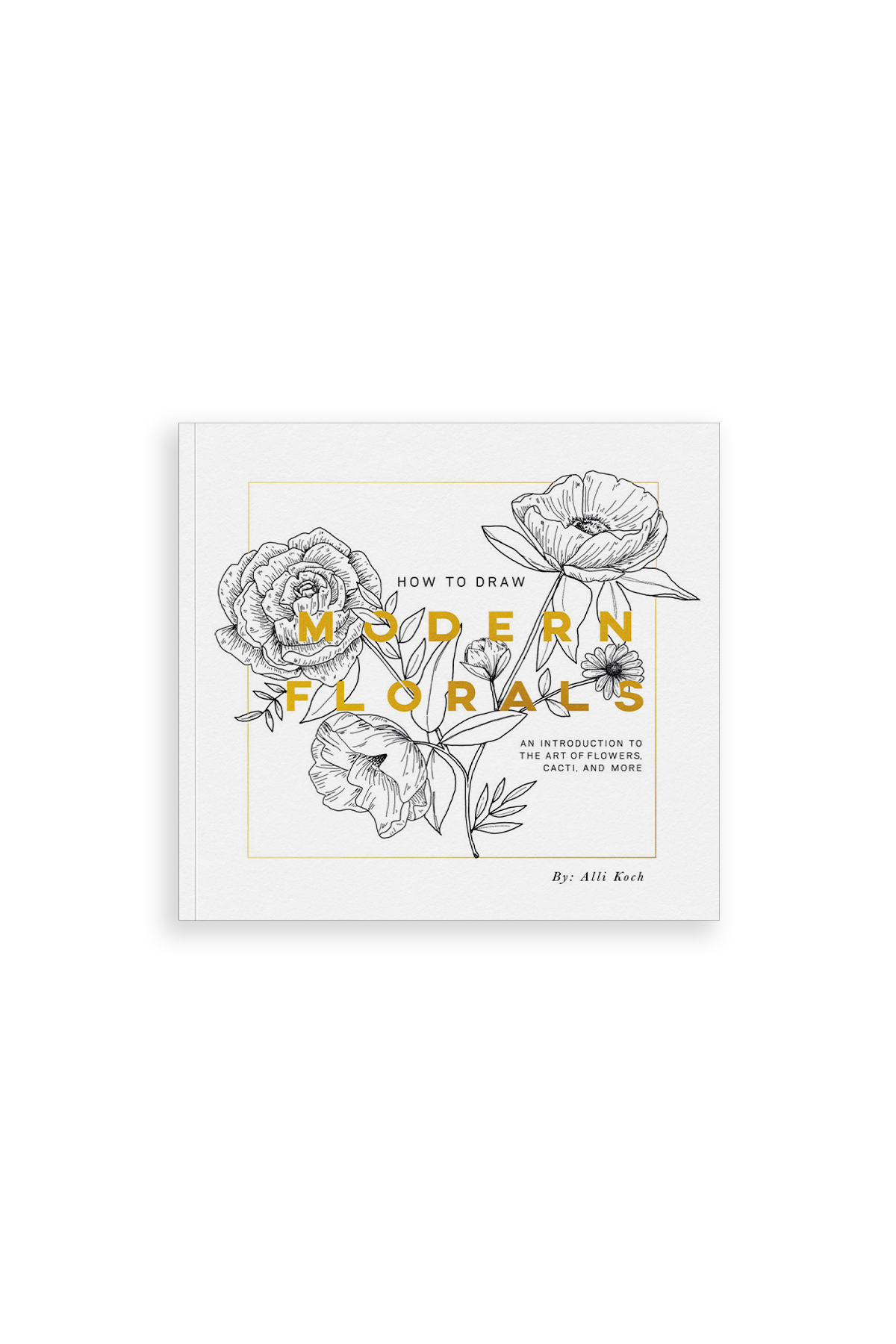How To Draw Modern Florals (Paperback)