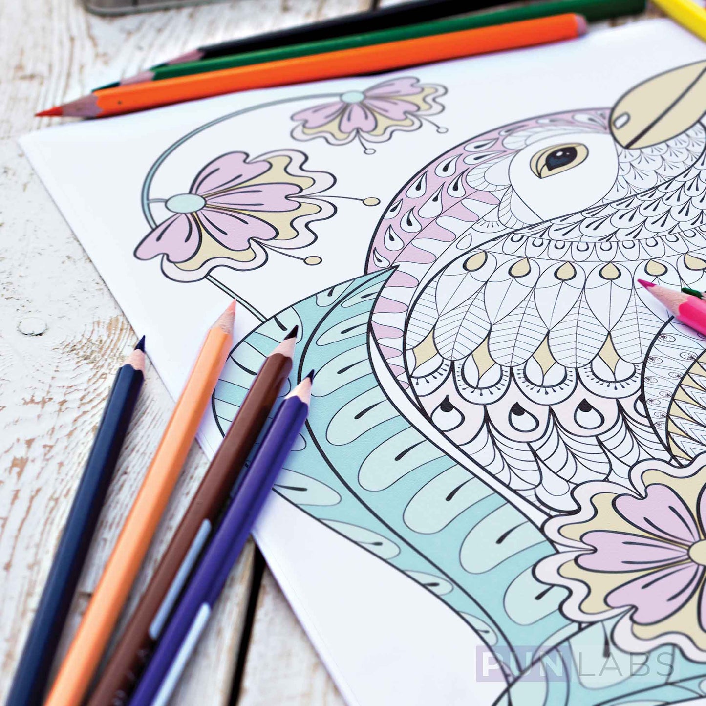 Novel Hues Colored Pencils for Fans of Classic Literature