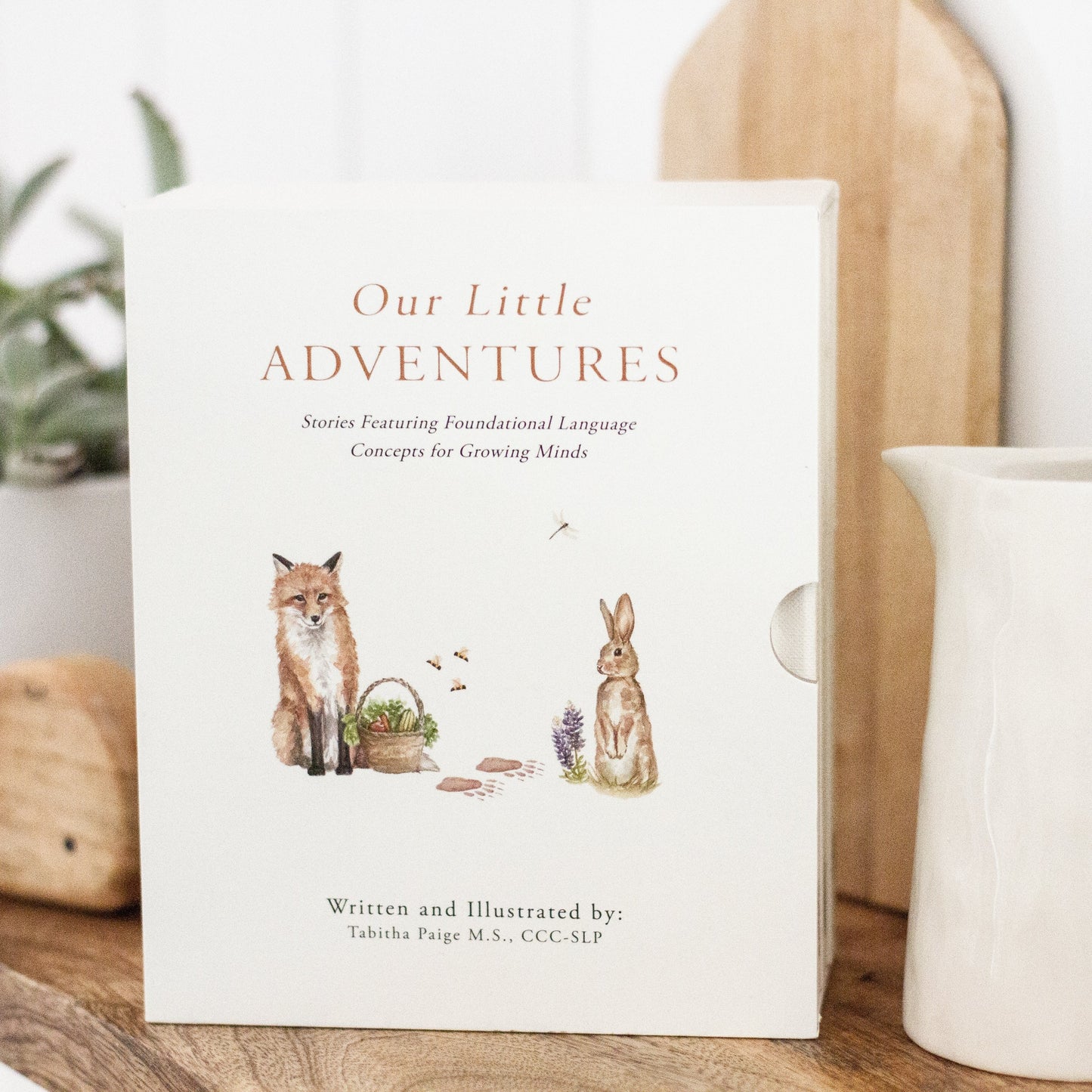 Our Little Adventures
