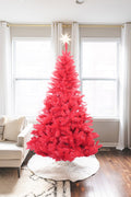 6' Red Norway Pine Tree