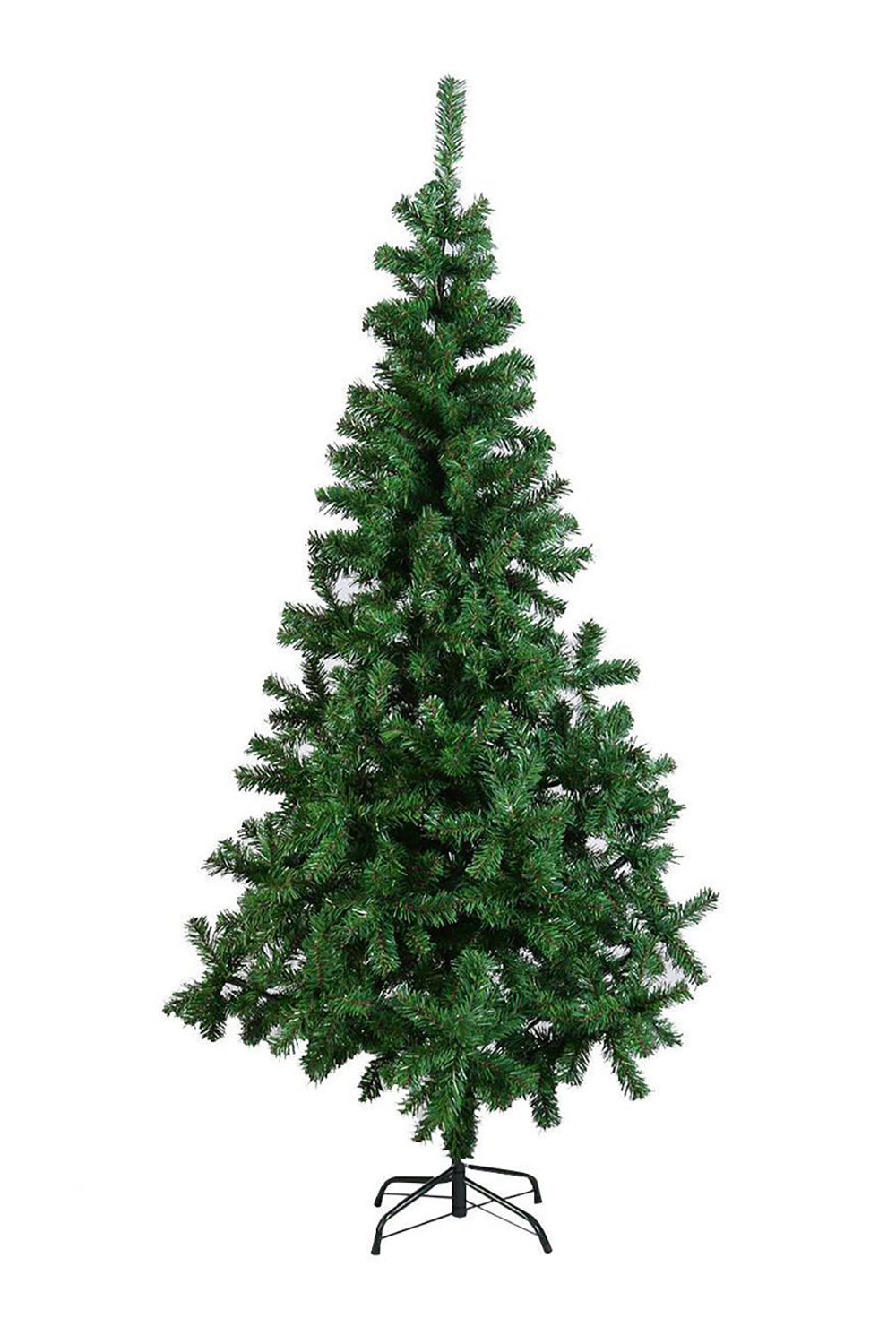 Classic Canadian Pine Tree