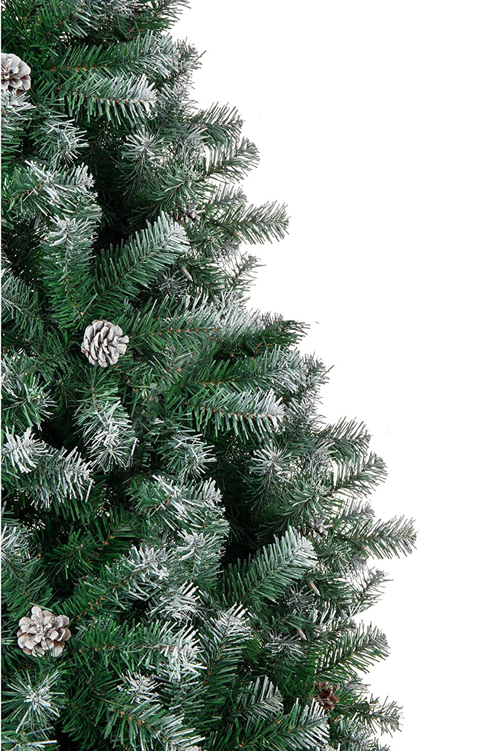 Frosted Oregon Fir with Snow Dusted Pine Cones