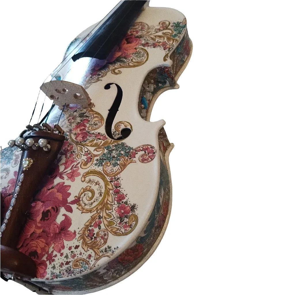 Gilded Age Violin Outfit