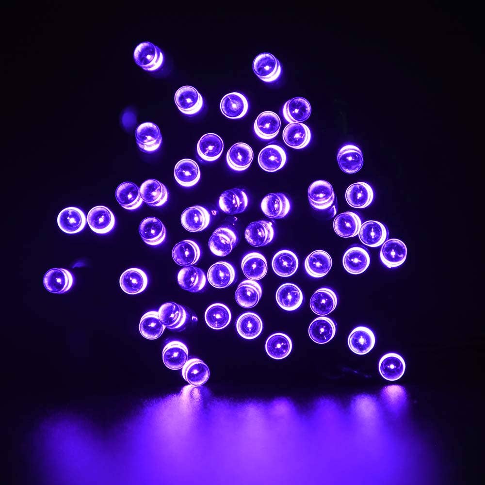 30 LED String Light Battery Operated - Black Wire - Purple