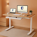 48 Inch Electric Standing Desk With USB Port And Drawers