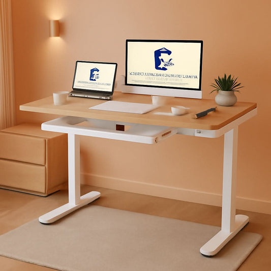 48 Inch Electric Standing Desk With USB Port And Drawers