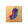 Violin - Ascente Strings