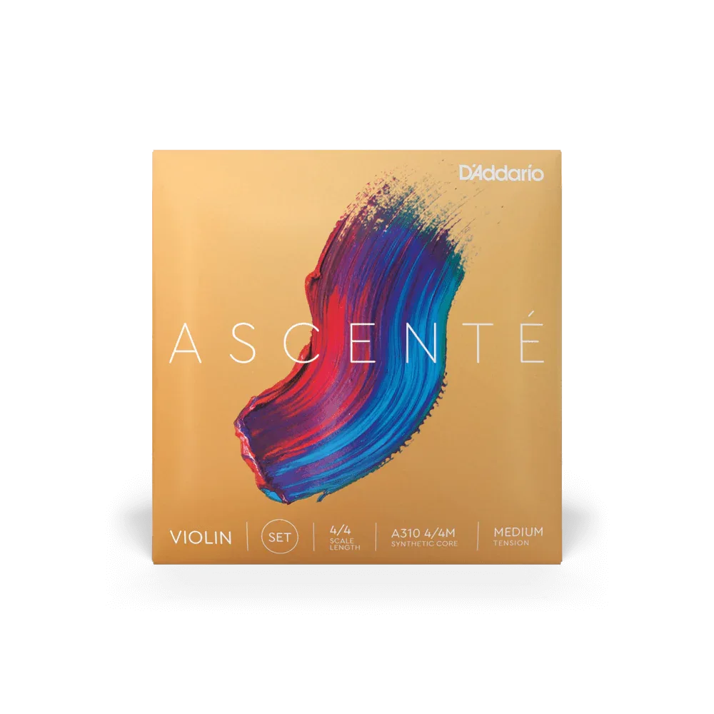 Violin - Ascente Strings