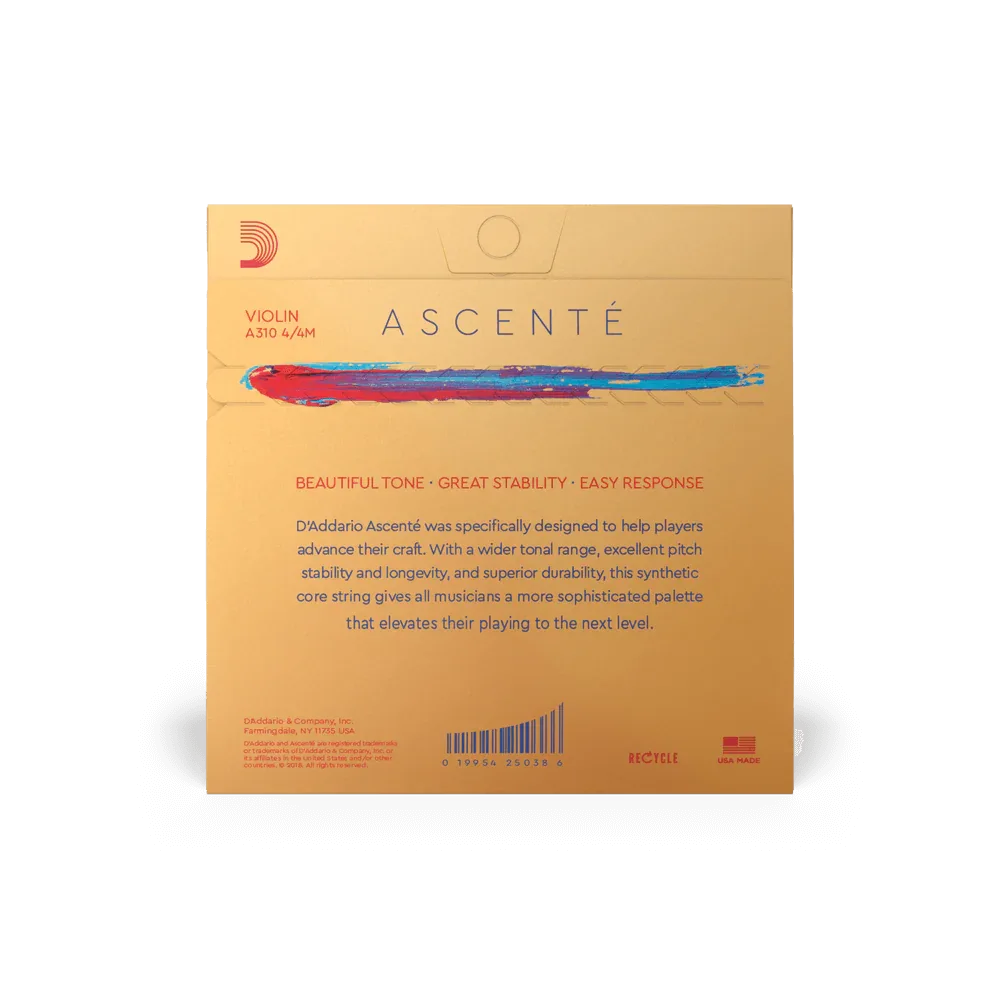Violin - Ascente Strings