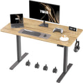 Electric Height Adjustable Standing Desk with Wheels