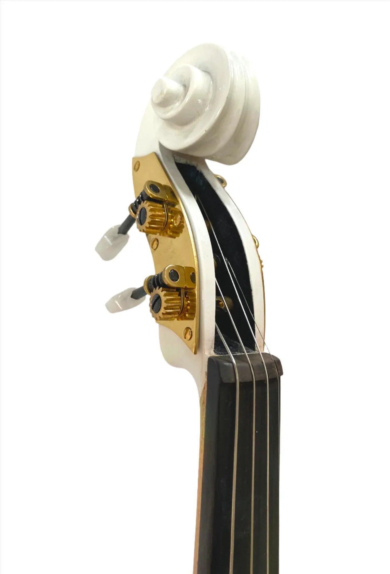 Rose Delight Electric Acoustic Violin Outfit | Electric Violin with Rose Design, Mechanical Pegs & Carbon Fiber Bow