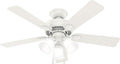 44 Inch Indoor Ceiling Fan With LED Lights Quiet Motor