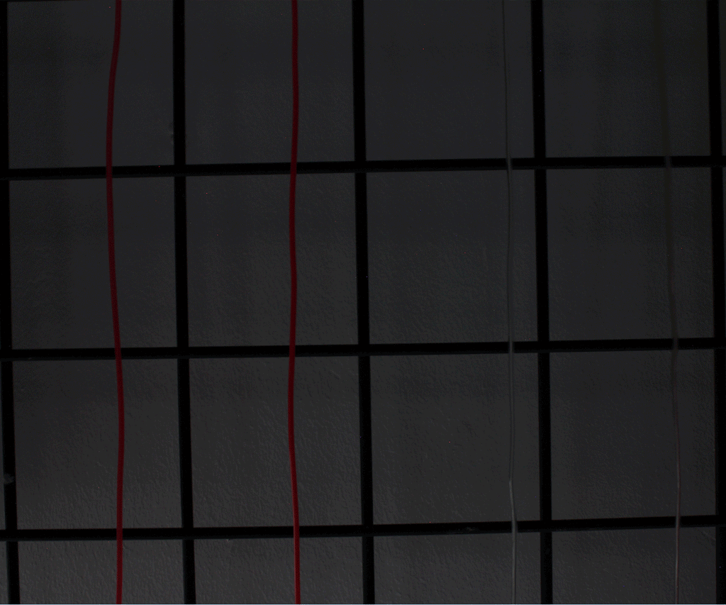6' Neon String Light - Battery Operated