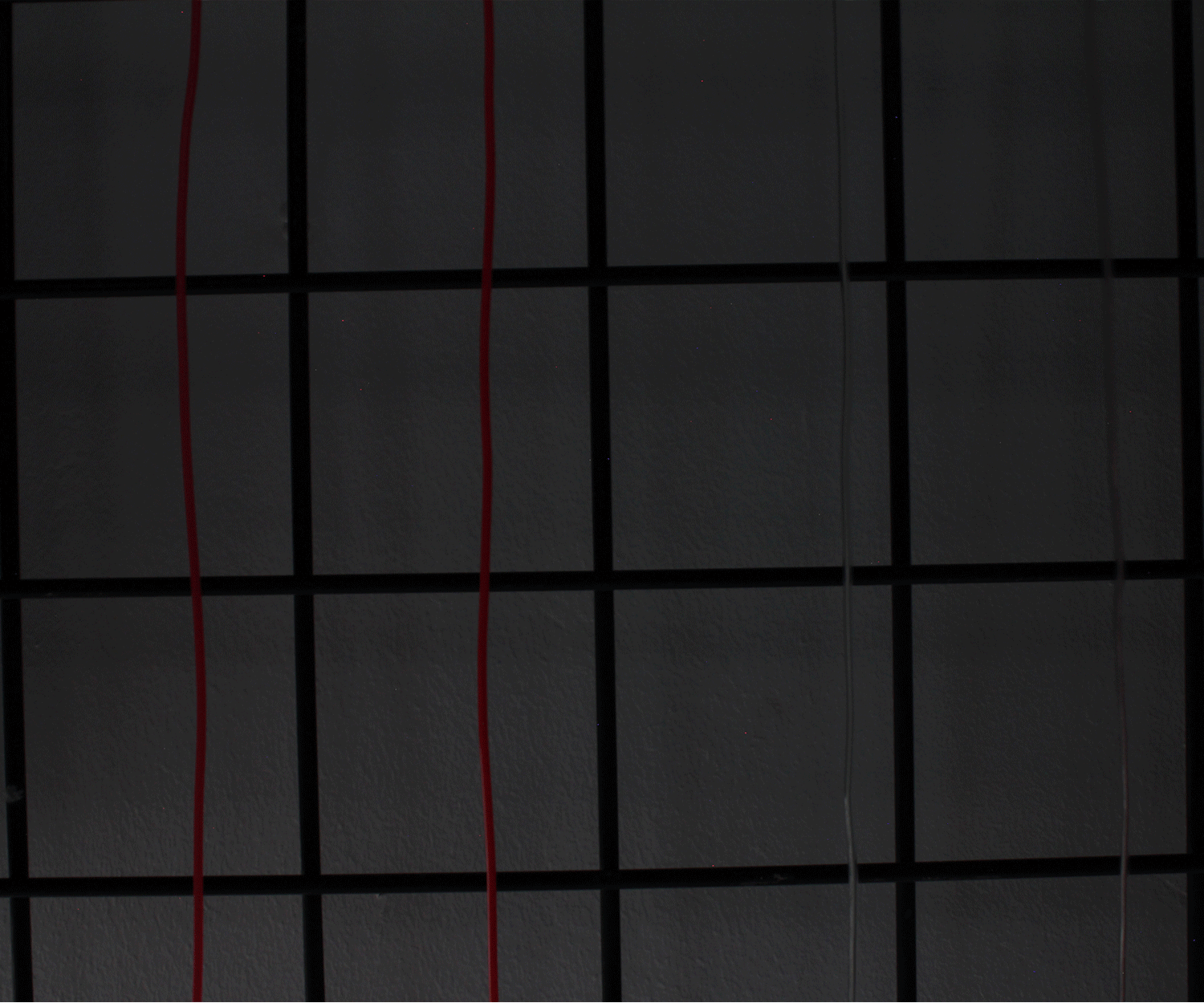 6' Neon String Light - Battery Operated