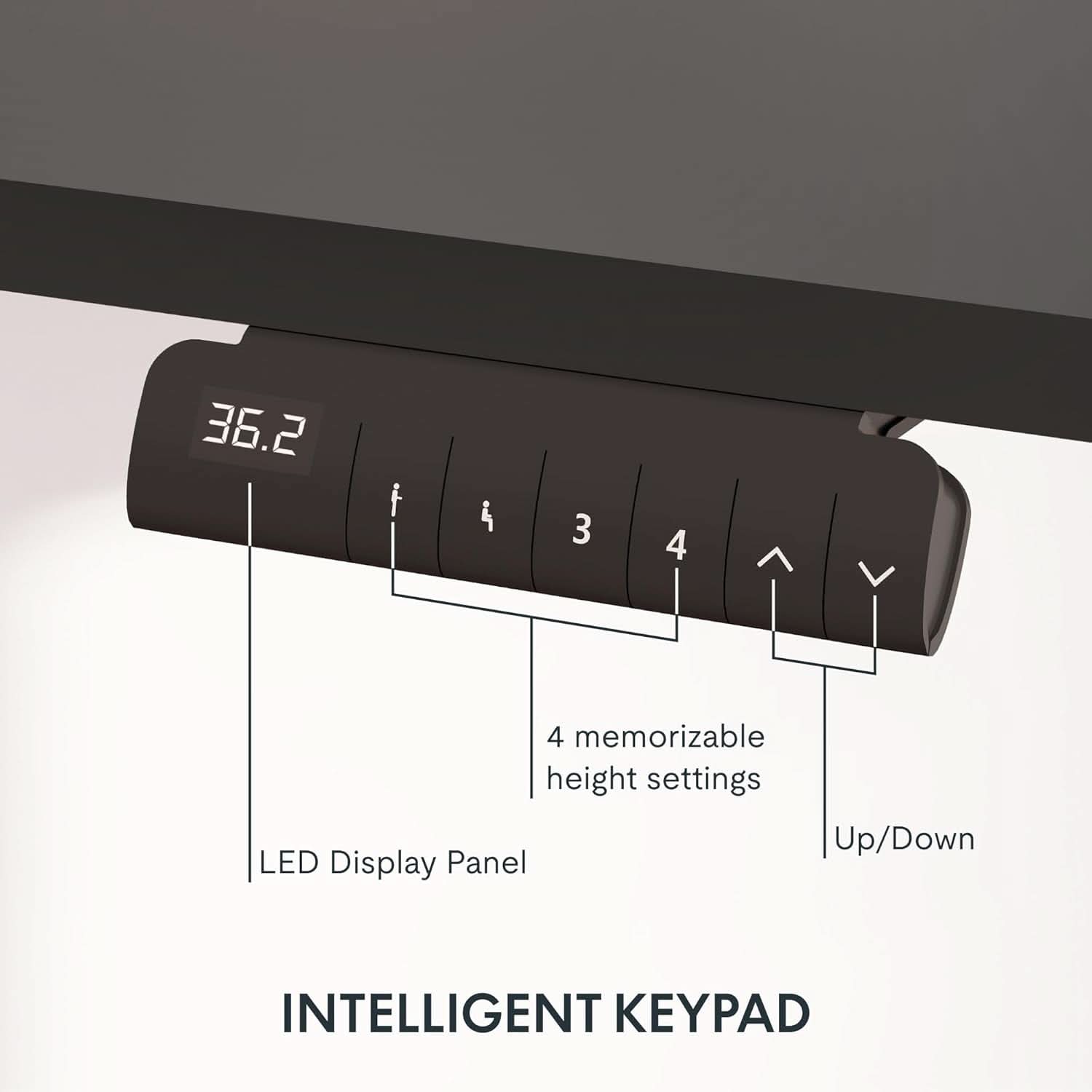 Height Adjustable Electric Standing Desk with Ergonomic Workspace