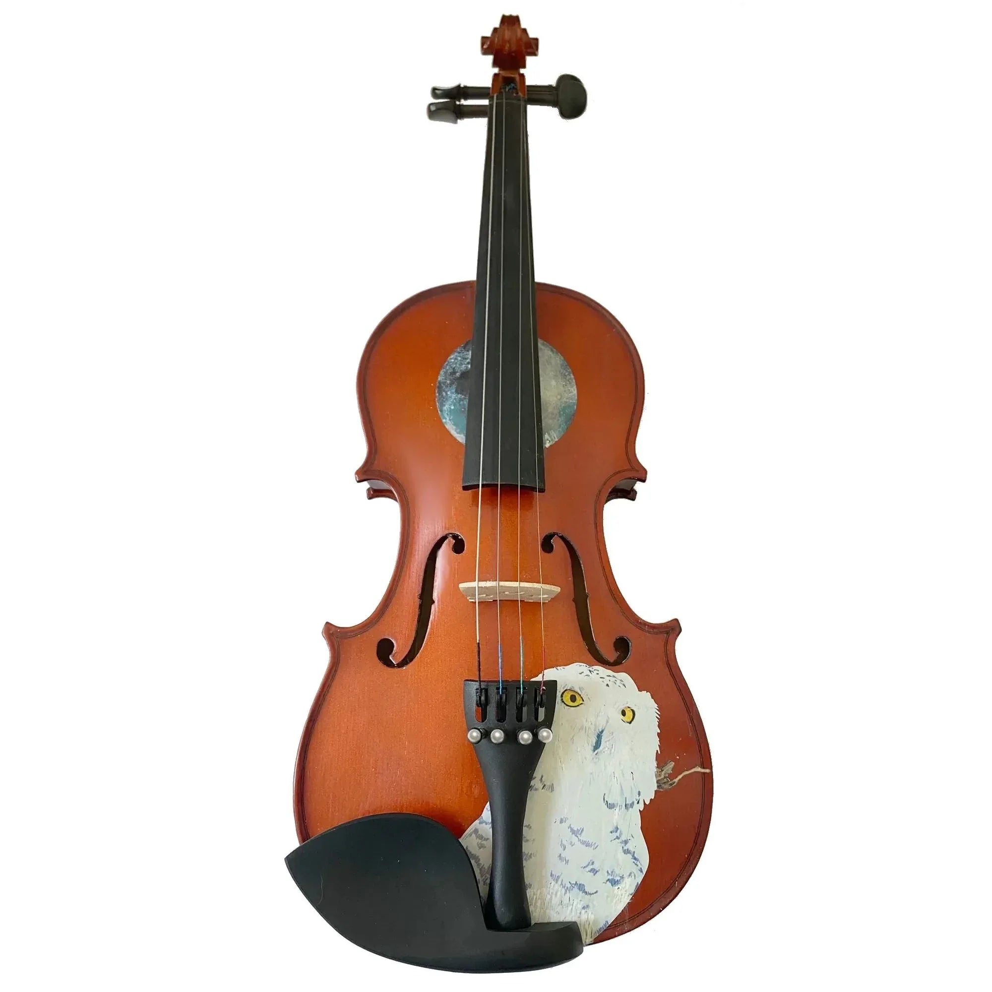 Rozanna's Violins Mystic Owl Violin Outfit